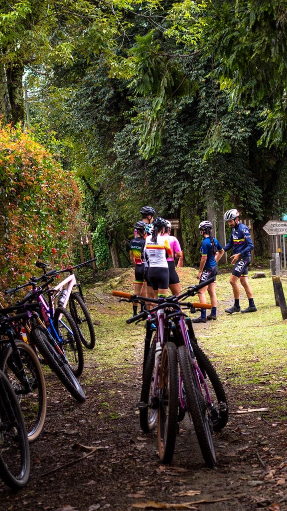 Grupo de escuela con bicicletas